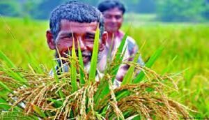 বাংলাদেশের কৃষক
