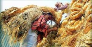 বাংলাদেশের পাটশিল্প সমস্যা ও সম্ভাবনা
