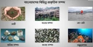 বাংলাদেশের প্রাকৃতিক সম্পদ