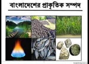 বাংলাদেশের প্রাকৃতিক সম্পদ
