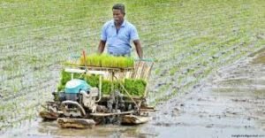 বাংলাদেশে কৃষি উন্নয়ন : সমস্যা ও সমাধান