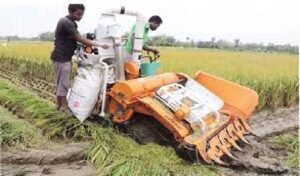 বাংলাদেশে কৃষি উন্নয়ন : সমস্যা ও সমাধান