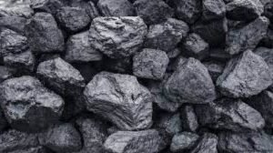 বাংলাদেশের প্রাকৃতিক সম্পদ রচনা 4 বাংলাদেশের প্রাকৃতিক সম্পদ