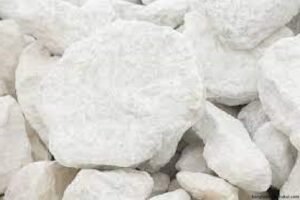 বাংলাদেশের প্রাকৃতিক সম্পদ রচনা 7 বাংলাদেশের প্রাকৃতিক সম্পদ