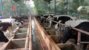 বাংলাদেশের প্রাকৃতিক সম্পদ রচনা 11 বাংলাদেশের প্রাকৃতিক সম্পদ