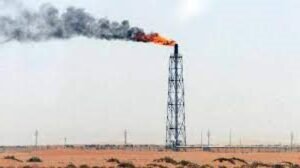 বাংলাদেশের প্রাকৃতিক সম্পদ রচনা 8 বাংলাদেশের প্রাকৃতিক সম্পদ