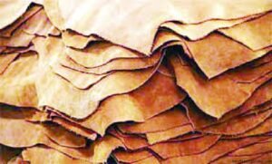 বাংলাদেশের চামড়াশিল্প রচনা 4 বাংলাদেশের চামড়াশিল্প