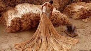 বাংলাদেশের পাটশিল্প সমস্যা ও সম্ভাবনা রচনা 3 বাংলাদেশের পাটশিল্প সমস্যা ও সম্ভাবনা