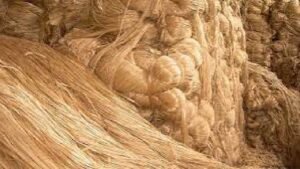 বাংলাদেশের পাটশিল্প সমস্যা ও সম্ভাবনা রচনা 4 বাংলাদেশের পাটশিল্প সমস্যা ও সম্ভাবনা