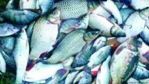 বাংলাদেশের প্রাকৃতিক সম্পদ রচনা 10 বাংলাদেশের প্রাকৃতিক সম্পদ