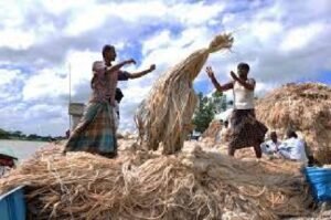 বাংলাদেশের শিল্পোন্নয়ন রচনা 3 বাংলাদেশের শিল্পোন্নয়ন