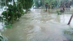 বাংলাদেশের বন্যা সমস্যা ও প্রতিকার