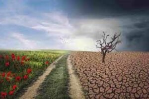 জলবায়ুর পরিবর্তন ও বাংলাদেশ রচনা 4 জলবায়ুর পরিবর্তন ও বাংলাদেশ