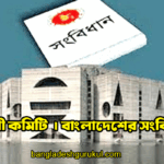 স্থায়ী কমিটি | বাংলাদেশের সংবিধান